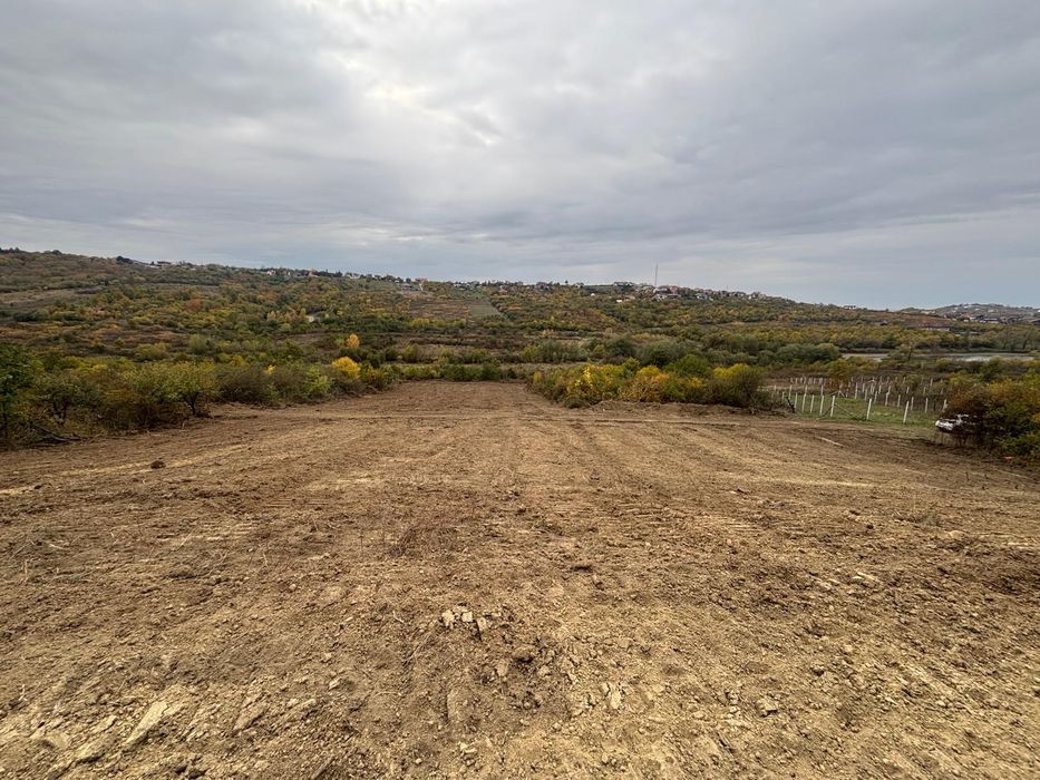 Parcele 665mp si 1000mp. Okazie  Saldabagiu de Munte