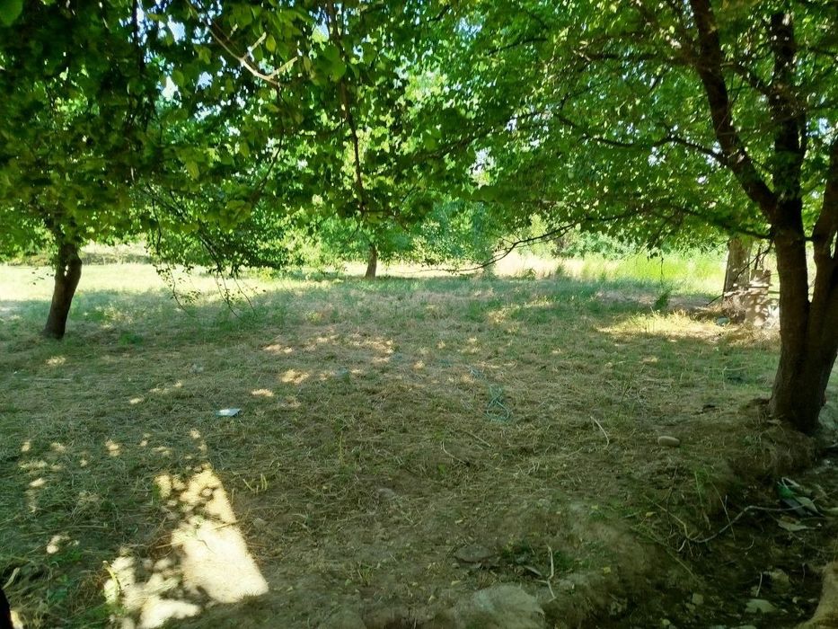 Ховли үй сотилади