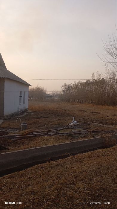 uy sotiladi 90 sotix buka tumanida