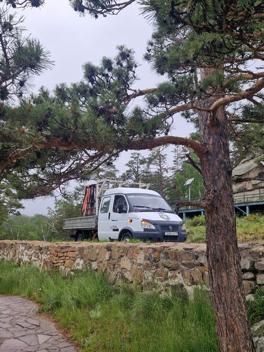 Газель пирамида город/межгород