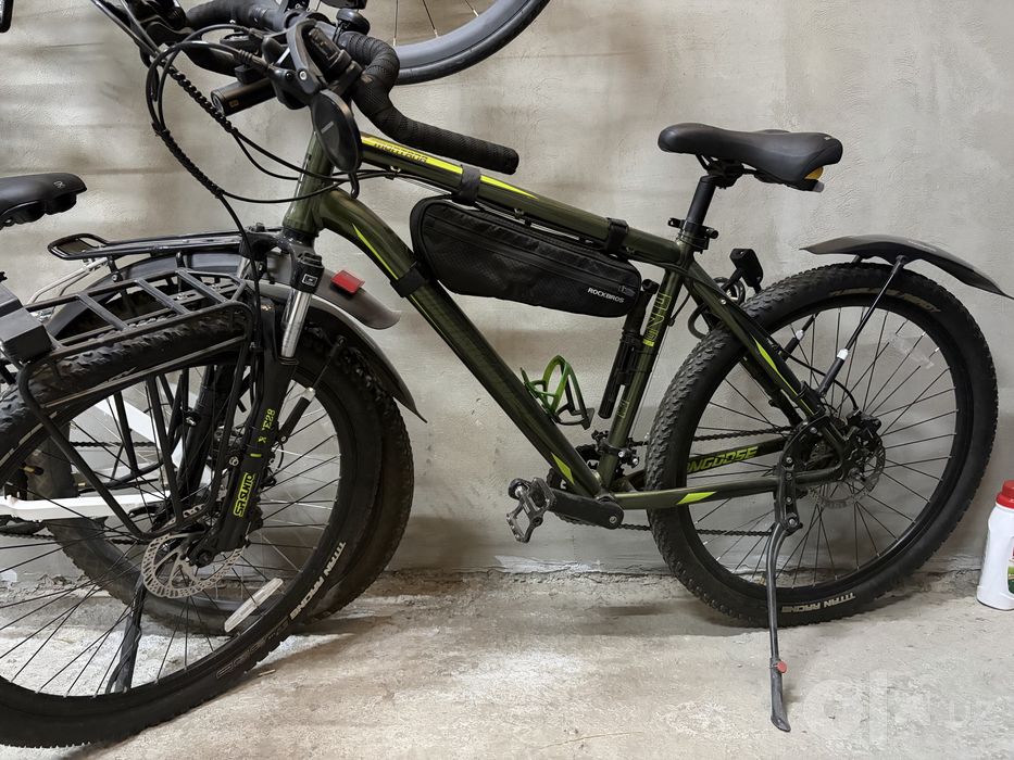 Mongoose montana