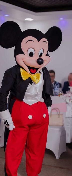 Costum Mascote deluxe noi