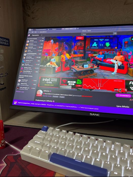 Монитор SANC2433PA