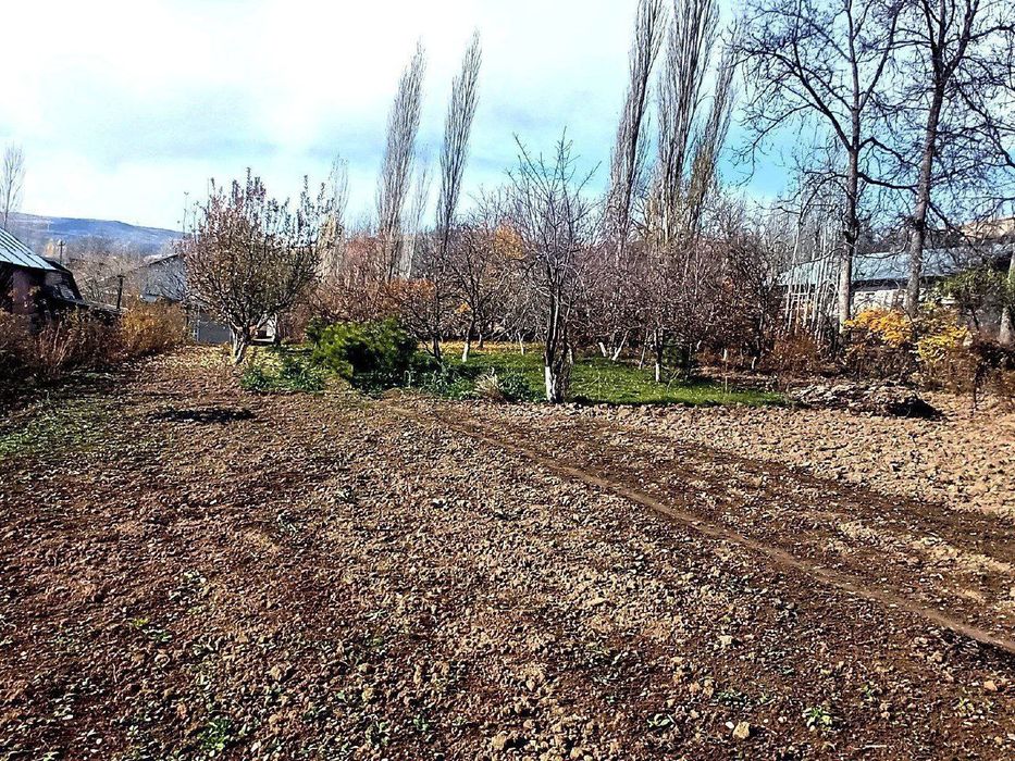 Тоғлий жой, тоза хаво ва табий манзара, ер сотилади, манзара сулим