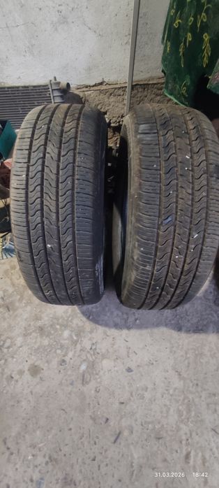 Еркебулан продам шину
