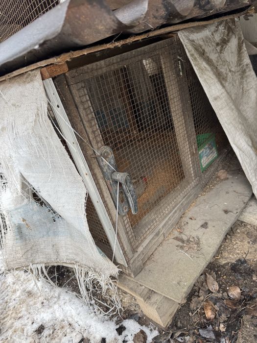 Клетки , будка для животных