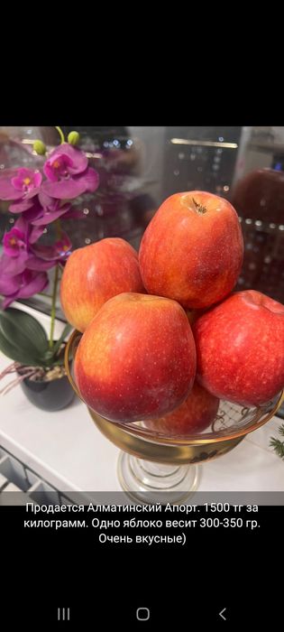 Яблоки Апорт ( Алмата)