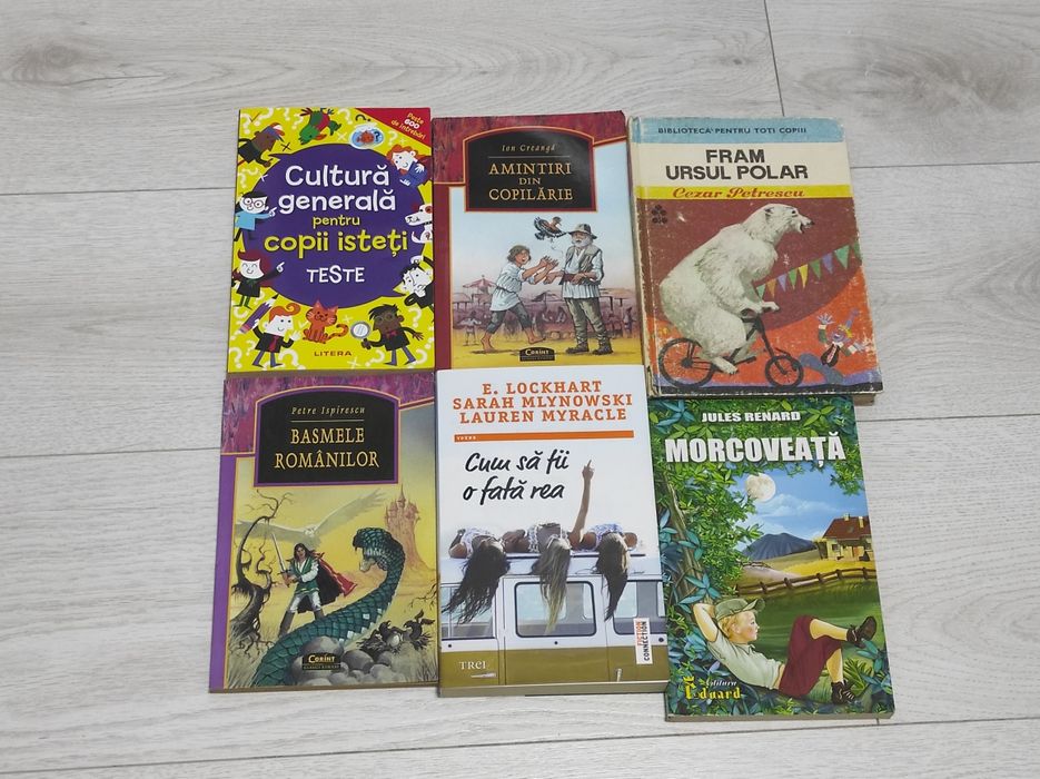 Minunea Inimă de cerneală Jurnalul unui puști Istoria lu Răzvan Isidor