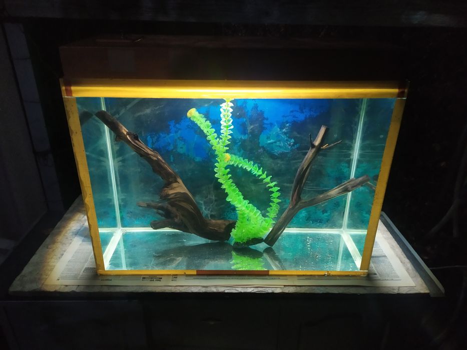 Аквариум 105л + бонусы и рыбки.