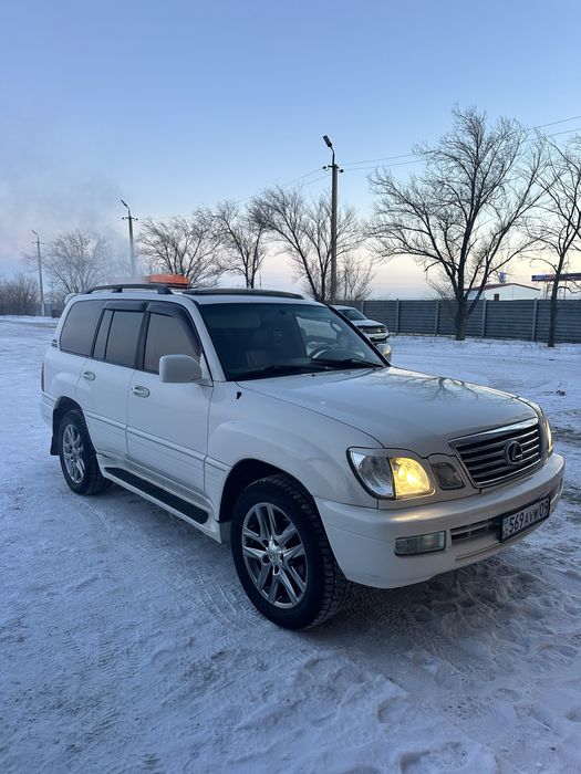 Продам или обмен на скот