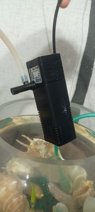 Аквариум с рыбками