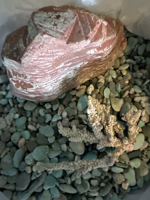 аквариум в комплекте