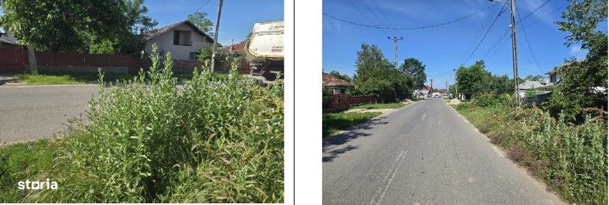 Casa si teren cota parte 1/2, Niculesti, ID: R3173803