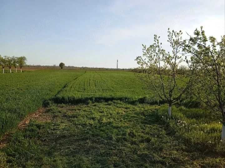 Casa de vanzare cu teren in Leordeni -Moara Mocanului- Arges