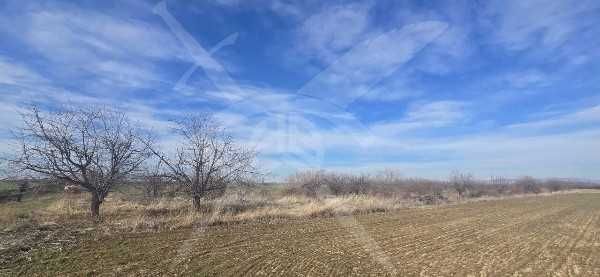 Земеделска земя в Китното селце Цалапица!