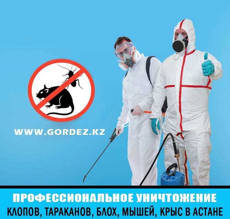 СЭС Сервис по дезинфекции тараканов клопов блох крыс муравьев Гарантия