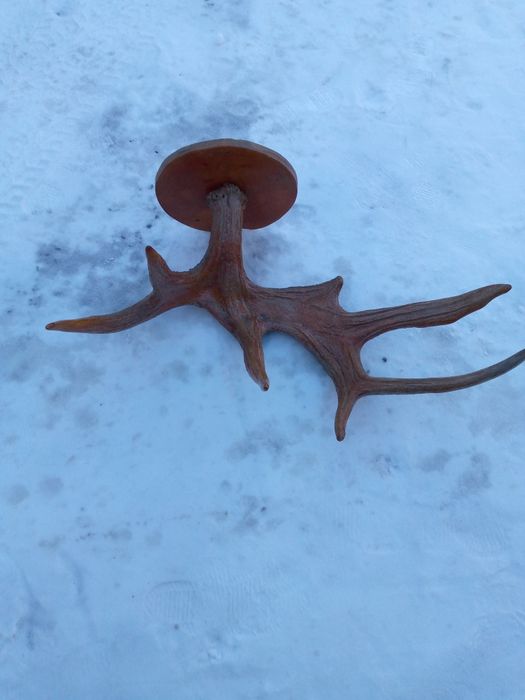 Продам на стену рыбалка