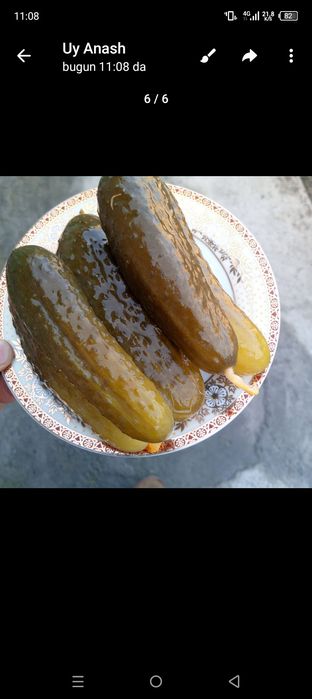 Salyon 10 kilosi 100000