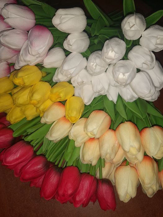 Тюльпаны тюльпаны