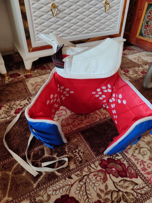 Ленгрде тұр бағасы 40000 мың