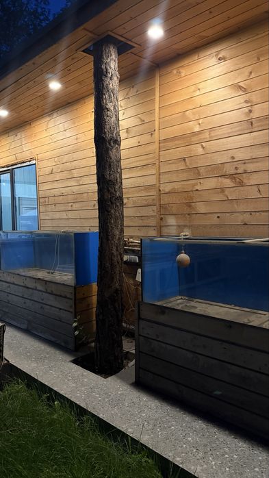 Продаётся большой аквариум (580 литров)