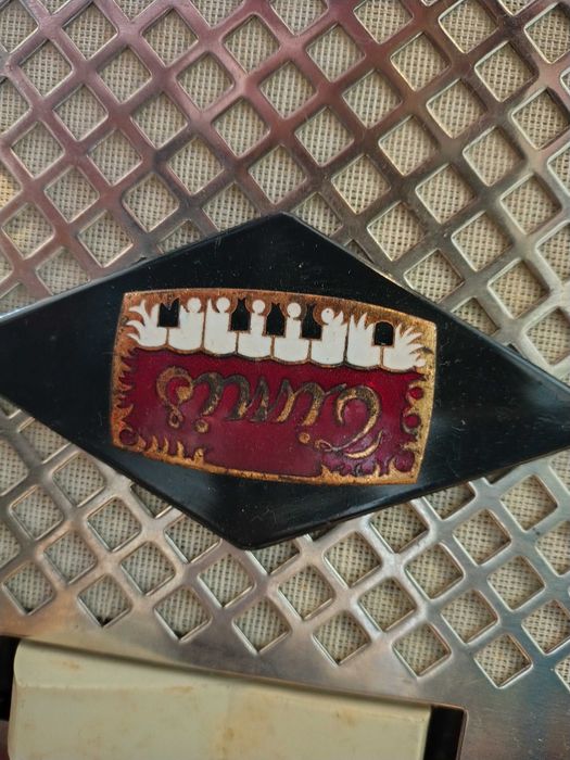 Vand Acordeon Timis Anca