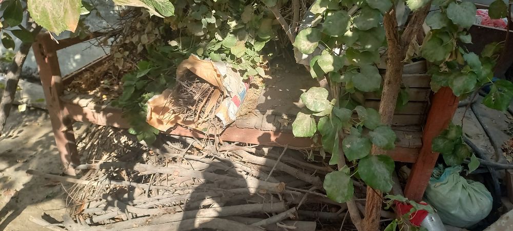 Quruq o'tin sotiladi