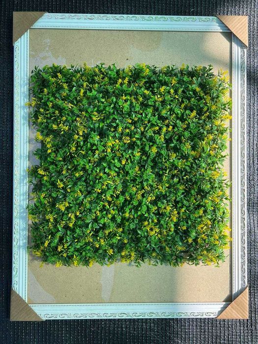 Зеленые растения на стену  - Фитостена