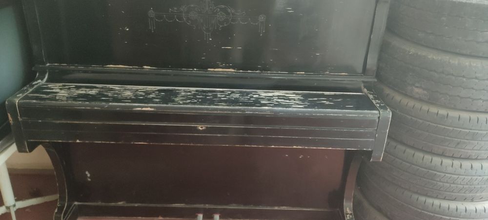 Pionino Kuban Krasnadar