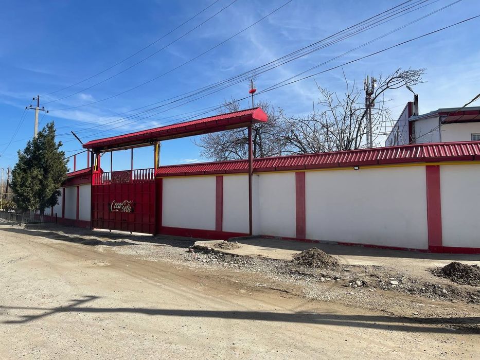 Сотилади 50 су́тик