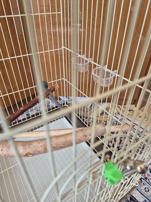 Клетка для попугая