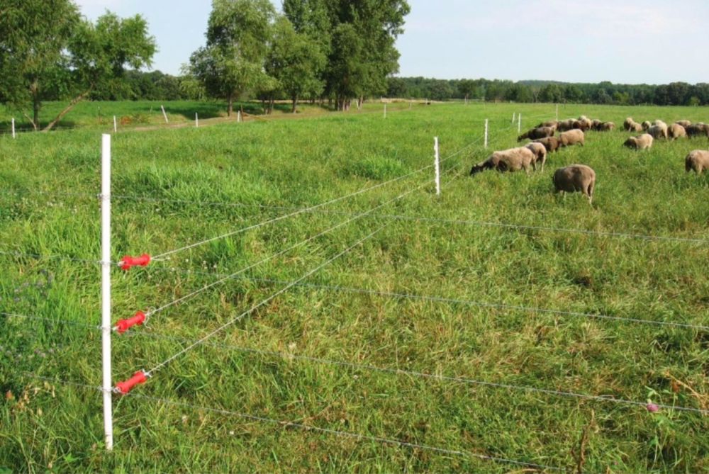 Электропастух Электрический забор Гинератор импульсов СТАТИК 3М