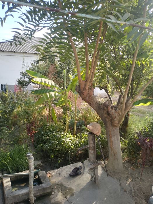 Срочно продается участок!