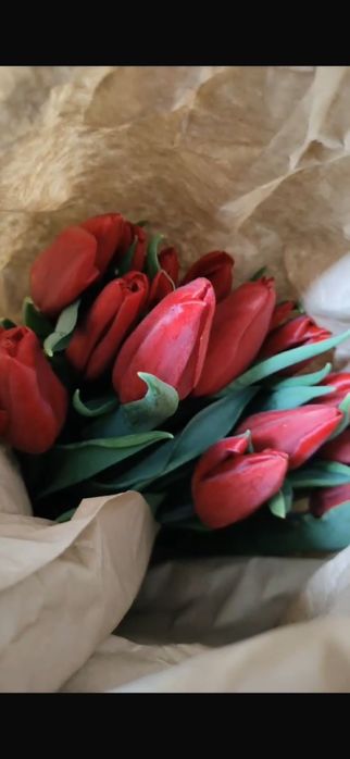 Тюльпаны на 8 марта