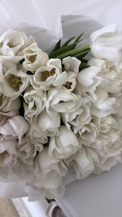 51 штук тьюлпанн