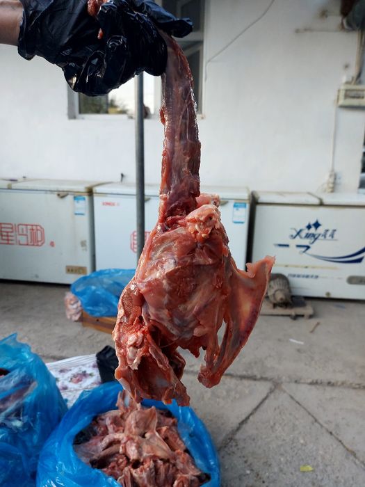 Куриные крылышки и кости