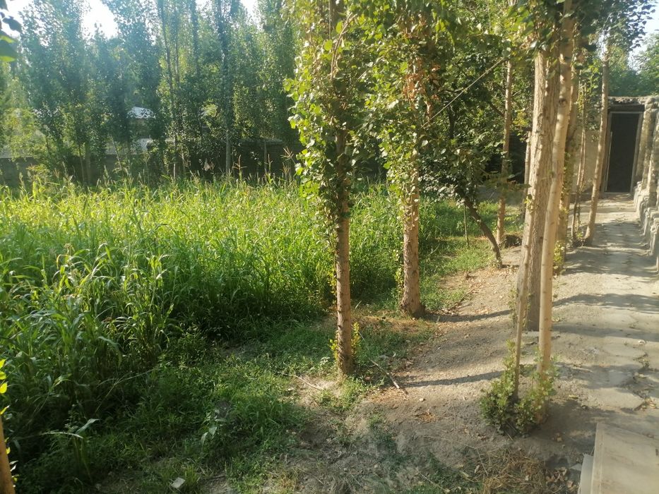 Yer uchastkasi sotiladi zudlik blan 6 sotih hama sharoit mavjud