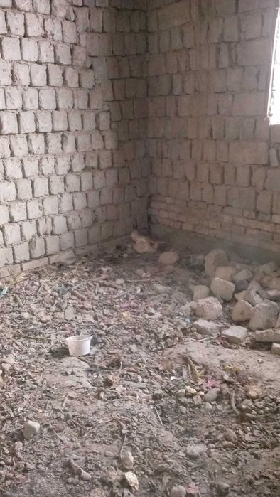 Курица продаю товук сотаман куланги