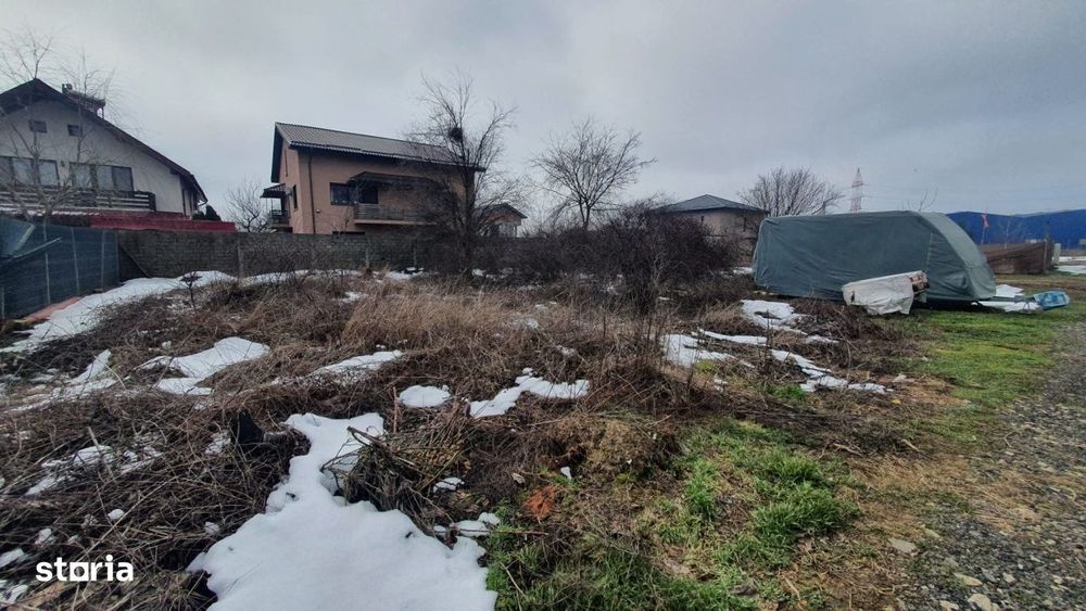 Teren 1000mp I De Vanzare I Cernica I Pantelimon