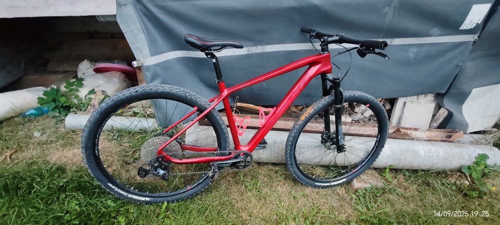 Bicicleta Massi Carbon