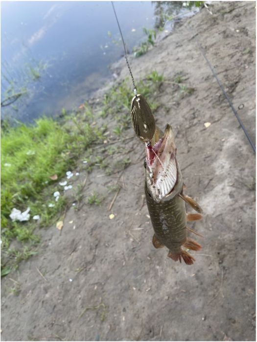 Набор приманок набор приманок