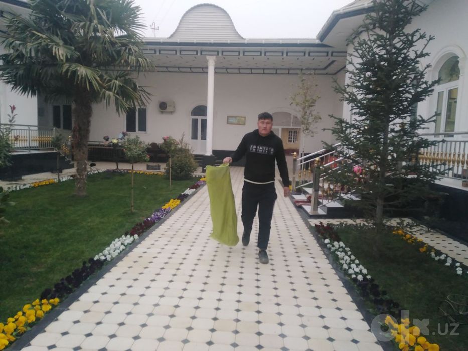 Gazon gullar ekish xizmati