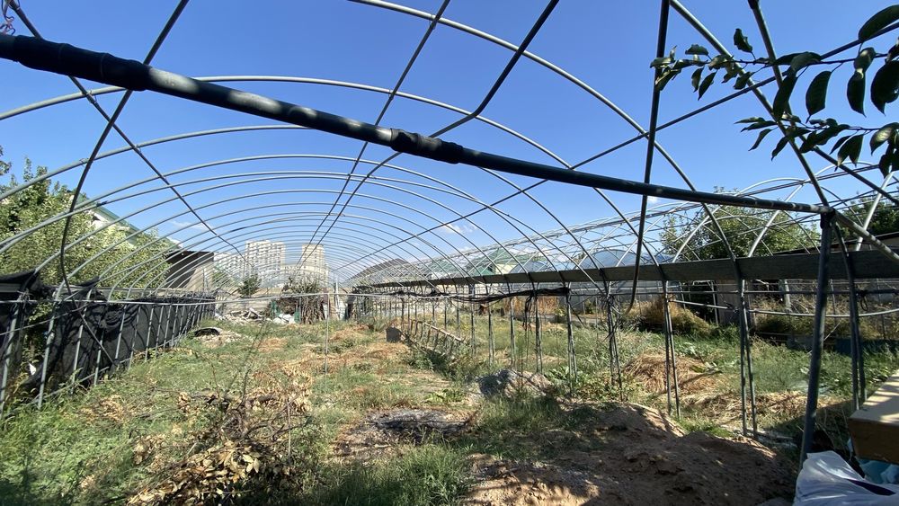 Теплица 3 соток