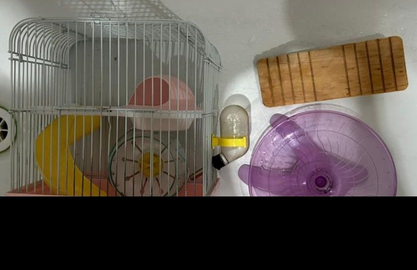 Клетка для хомяка