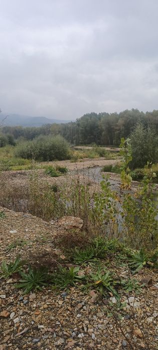 Домик в тарханке