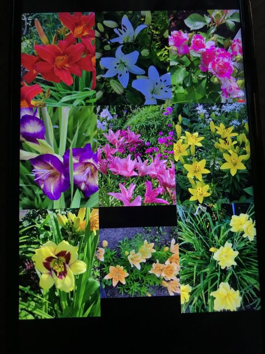 Дача 10 соток Общество «Ракета»