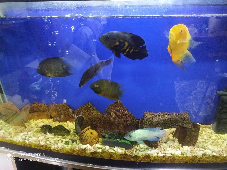 Продается аквариум 180 литров в полном комплекте