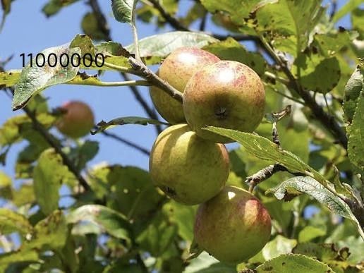 Дача в горном массиве.