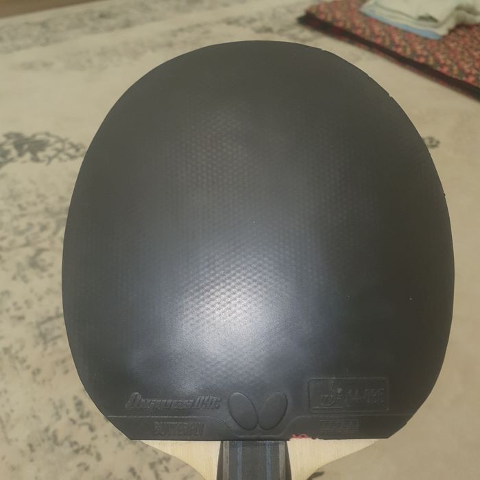 Fan zhen dong ALC   Dignics09c