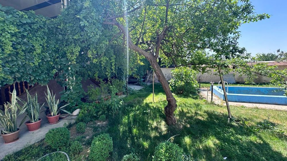 Iy Sotiladi. Hovli 8 sotix